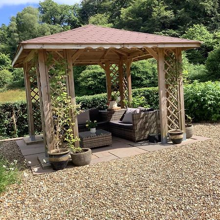 Ty Twt - Complete Holiday Home Llandysul Exterior foto