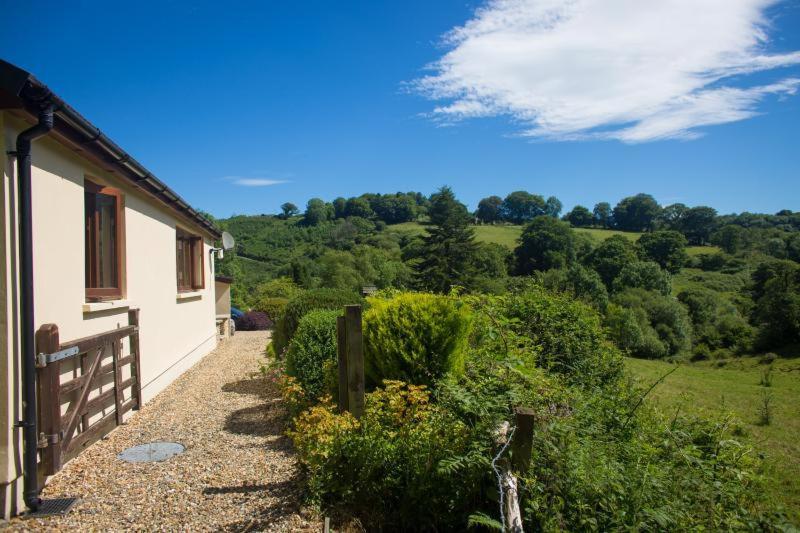Ty Twt - Complete Holiday Home Llandysul Exterior foto